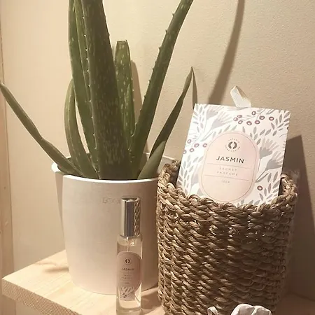 Tiny House Au Coeur Du Marais