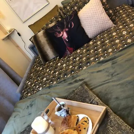 샬레 Tiny House Au Coeur Du Marais